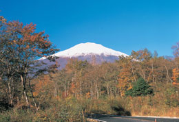 �y�G�[�XJTB�E�������s�z�R���c�A�[�E�R���̗��فE�z�e���\��